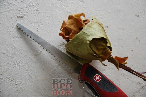 Wenger_RangerGrip_79_DSC_0631 пила по дереву